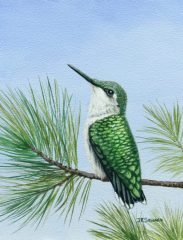 J Elaine Senack, "Perched-Ruby Throated Hummingbird (female)", acrylic, 8x6, $590