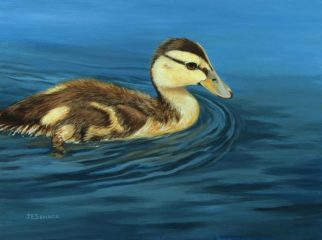 J Elaine Senack, "Mallard Duckling", acrylic, 9x12, $670