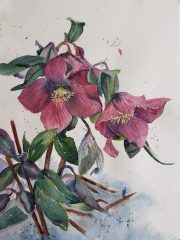 Cora Preibis, "Purple Bells", watercolor, 17x21, $300