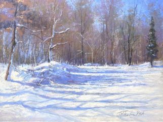 Jane McGraw-Teubner, "Snow Blues", pastel, 9x12, $600