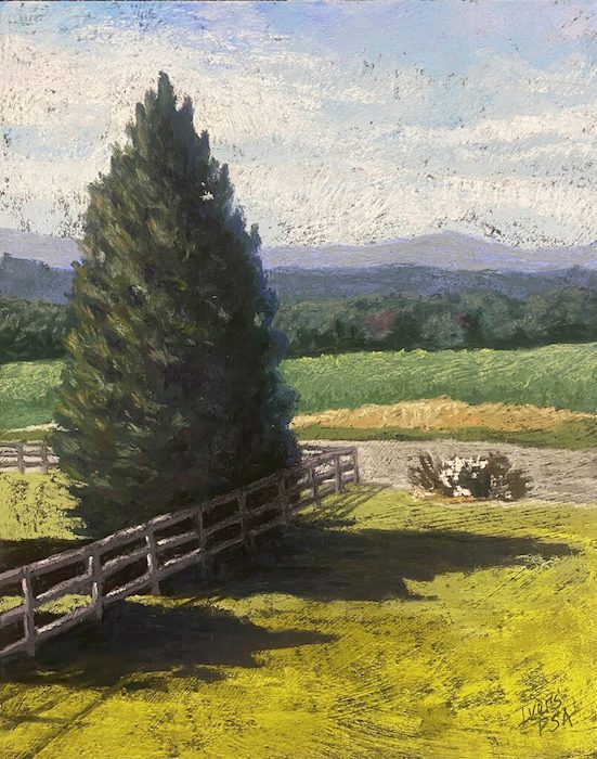 Christine Ivers, "Don't Fence Me In!", pastel, 14x11, $295