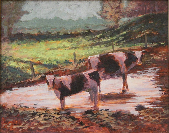 Babina Jay cows at water pond