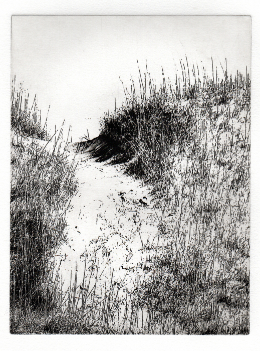Carol Dunn, "Dune Pathway ", etching, $195, 12 3/4 x 14 3/4"