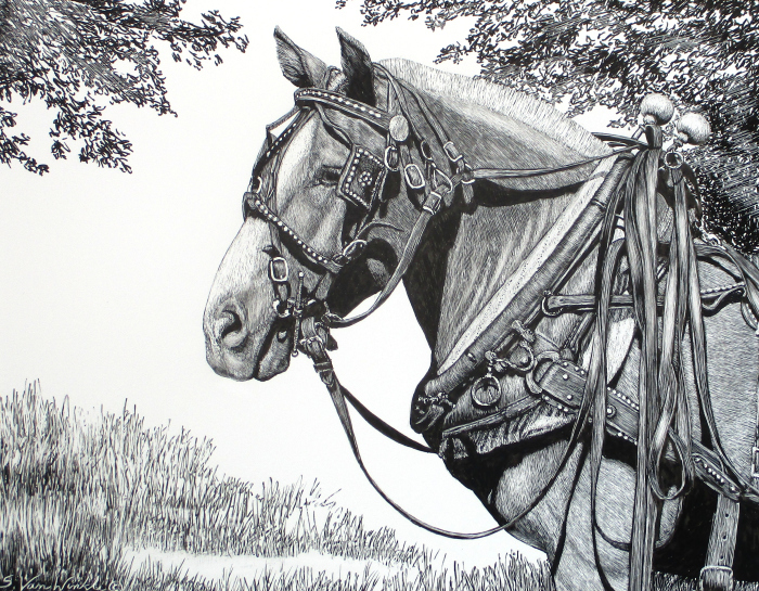 Van Winkle, Susan, Hard Worker, Scratchboard, $525, 15x12"