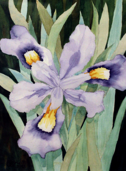 Pierson, Dr. Anne Bingham, Siberian Iris, Watercolor, $350, 12x9"