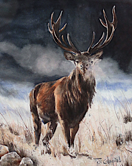 Chapin-JoAnna-Early-Morning-Mist-wc-300-15x12