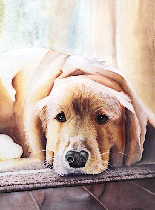 Tassmer-Golden-Daze-wc-750-16x20