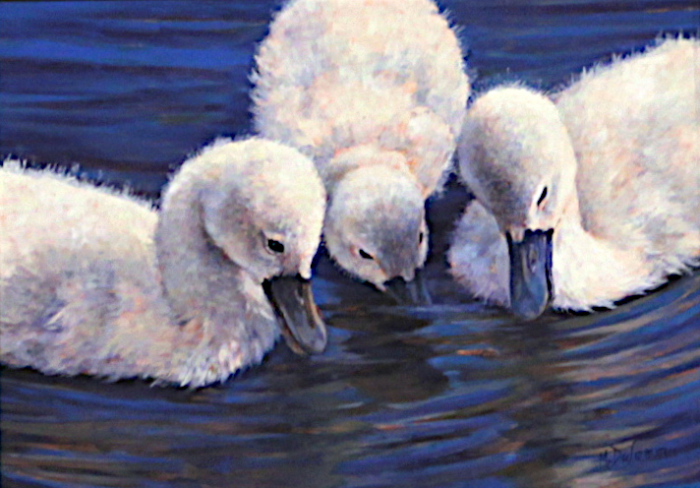 DeSomma-Mally-Gone-Fishin-oil-395-11x13