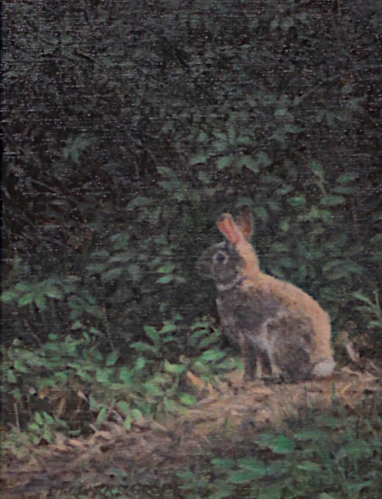Groff-Barbara-Trail-Bunny-oil-895-9x12