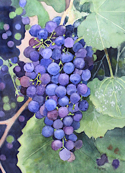 Preibis-Cora-On-the-Grapevine-wc-300-11x15