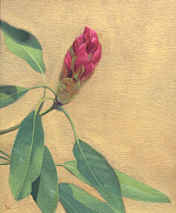 Chandler-Diane-Rhododendron-Bud-oil-200-10x8