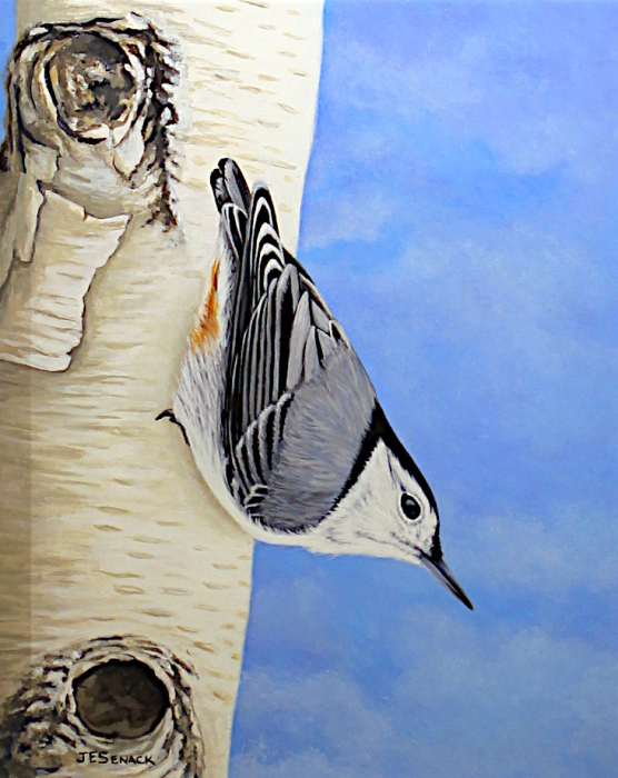 Senack-J-Elaine-Headfirst-acrylic-1100-10x8