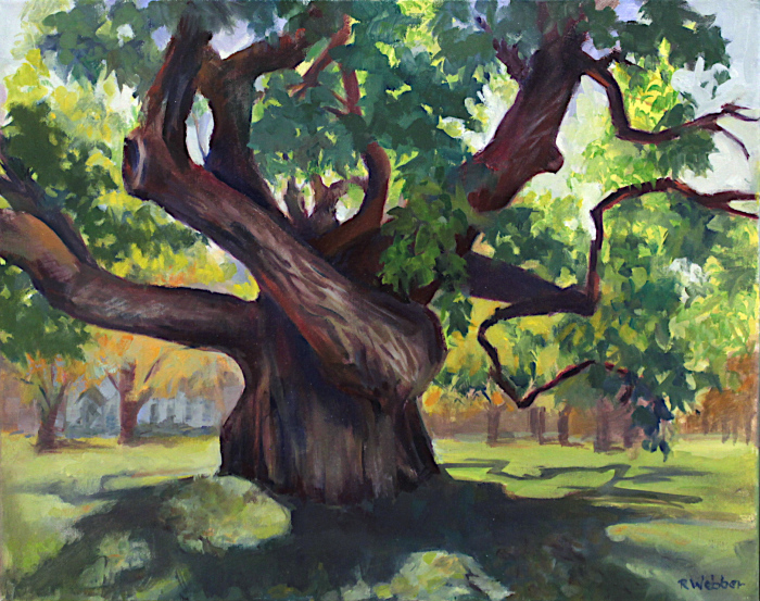 Webber-Rosemary-Japanese-Chestnut-Tree-Audubon-oil-385-22x18