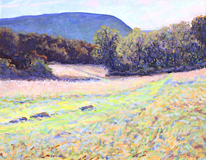 DeRusso-Robert-Louis-Studio-View-at-Storm-Hill-acrylic-1500-16x20