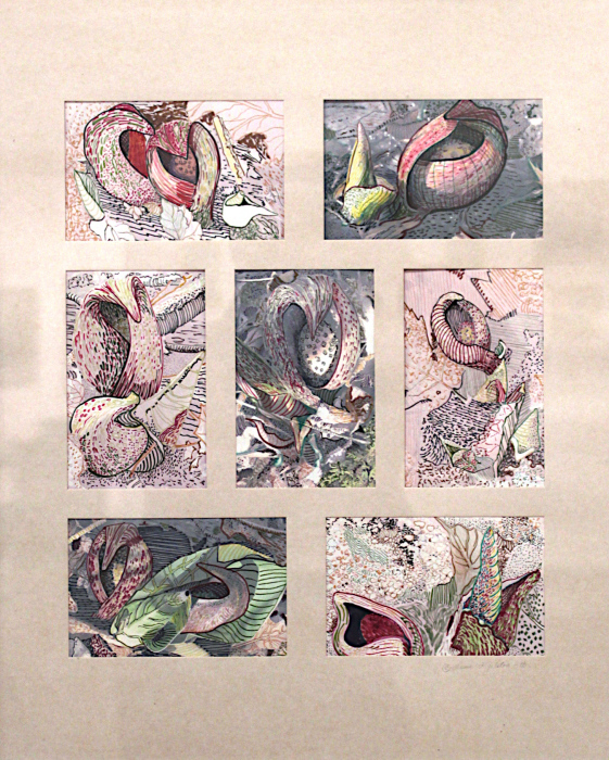 Alt-Laurie-Gelston-Early-Spring-Skunk-Cabbage-Views-mixed-225-16x20