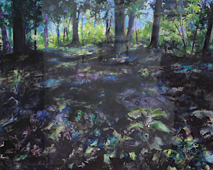 Romanowski-Janet-Bogon-Shadescape-mixed-media-675-18x22