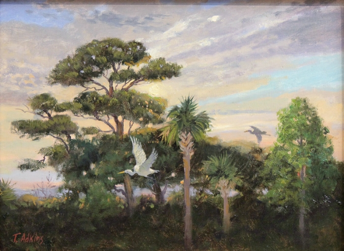 Adkins Great White Egret