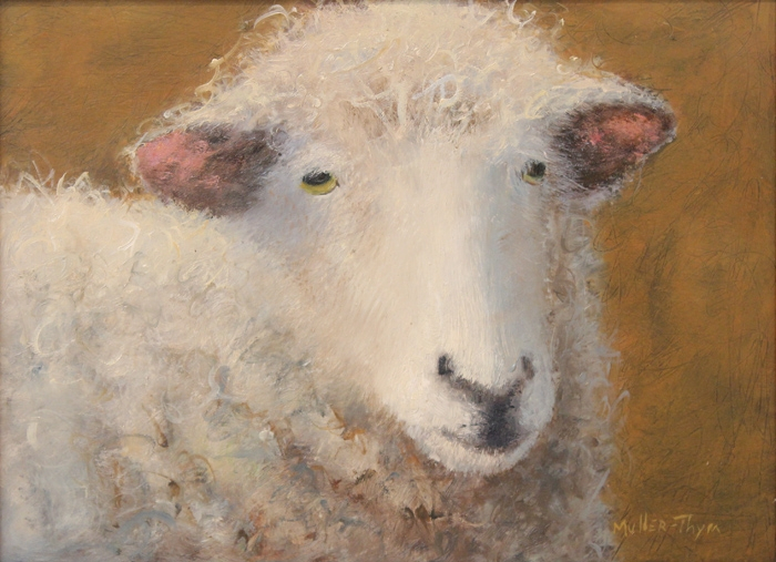 Muller-Thym Dearest Dorset