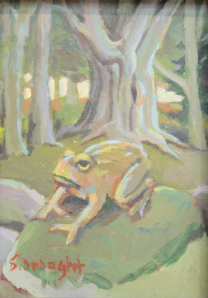 Nebel Toad