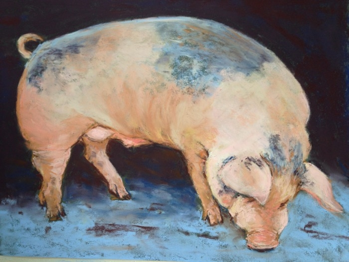 Traskos Pop Art Pig