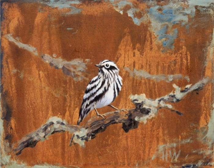 Whiting Black and White Warbler