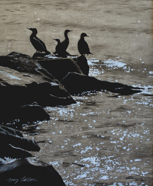FeltonMaryCormorants