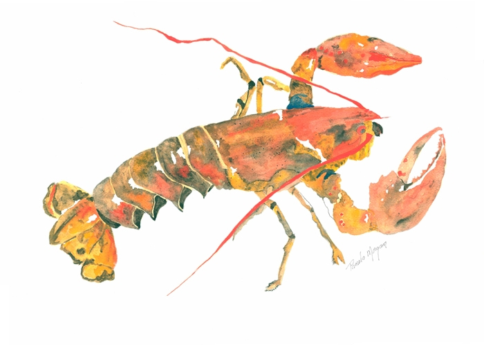 MorganPamelaLobster