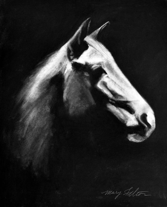 Felton_Mary_1Horse