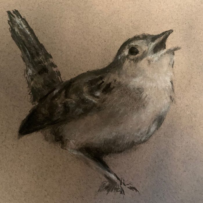 Shane_Shauna_Wren_Charcoal_6x6_200