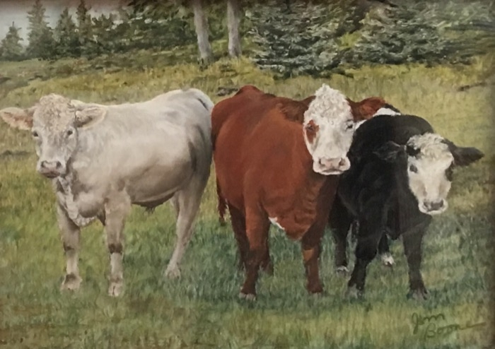 Boone 6 Eyes on You pastel