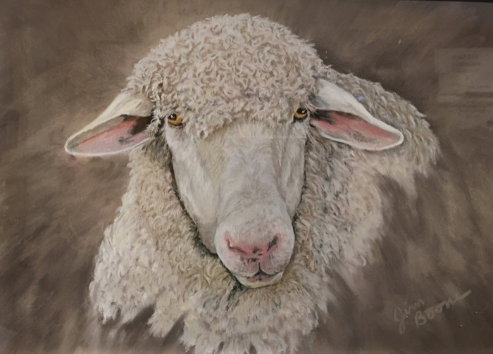 Boone Sheepish pastel 400