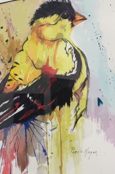 Morgan Goldfinch watercolor