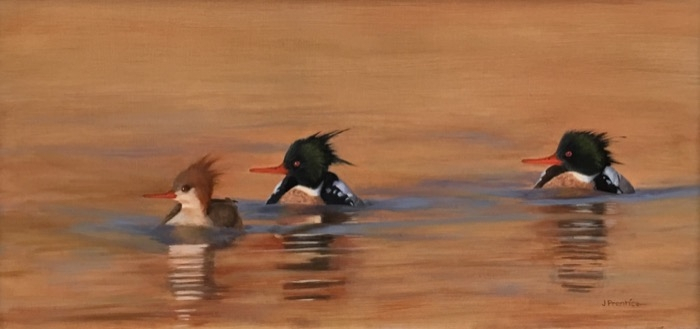 Prentice Wintertime Mergansers oil