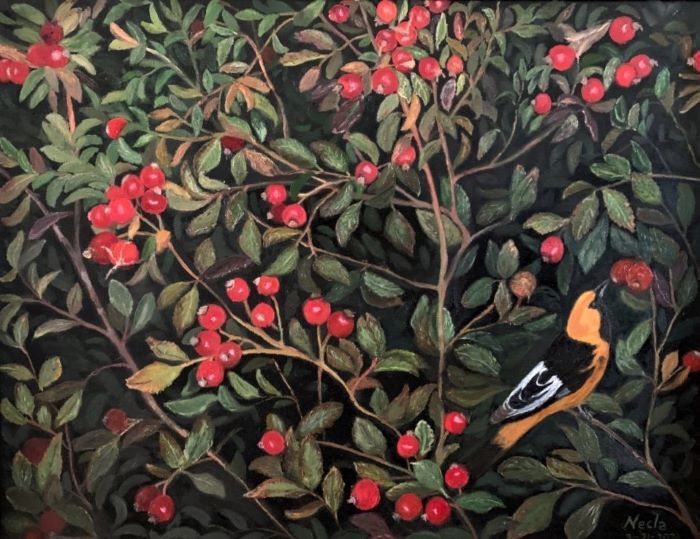 Balasaygun_Necla_AmericanWintergreen_oil_16x20_575
