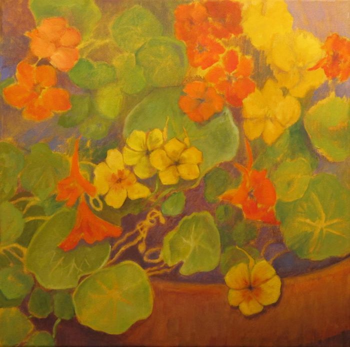 Collins_Jane_Nasturtiums_oil_16x16_400