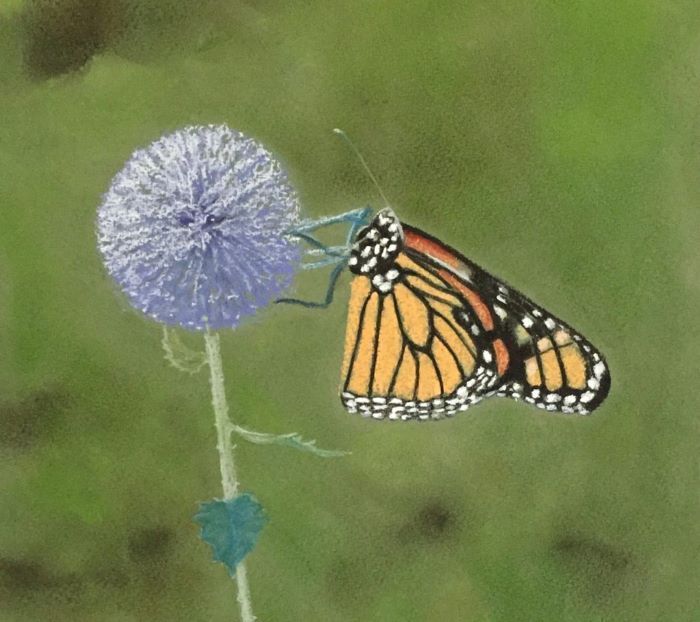 Holtermann_Marianne_A-Summer-Visitor_soft-pastel_9x8_125