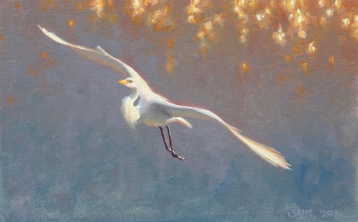 Murtha_Sean_Banking_into_the_Sun_oil_12x16_900
