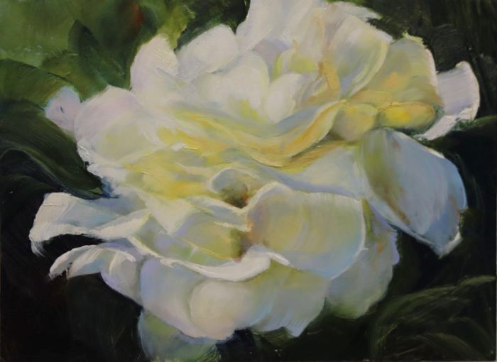 Robertson_Janine_Summer-Rose_oil-on-aluminum_11x13_450