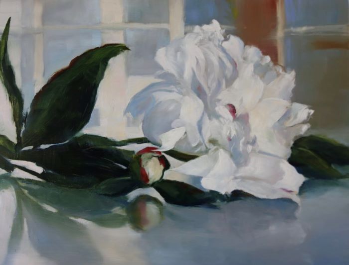 Robertson_Janine_White-Peony_oil-on-aluminum_13x15_600