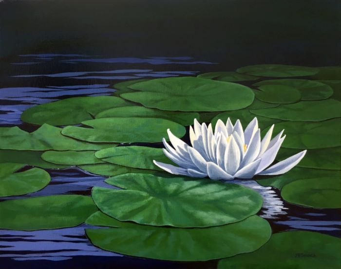 Senack_J_Elaine_Waterlily_acrylic_16x20_850