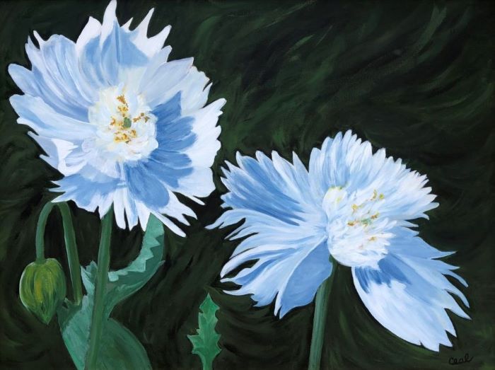 Swift_Ceal_BanffPoppies_acrylic_18x24_900