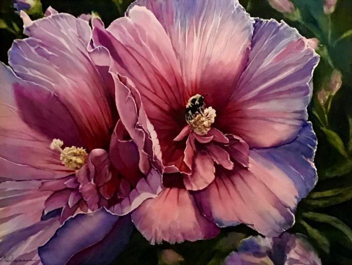 Weymann_Cheri_CreekHibiscus_watercolor_16x20_650