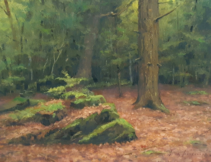 broderick_jack_once-in-the-woods_12x16_1200