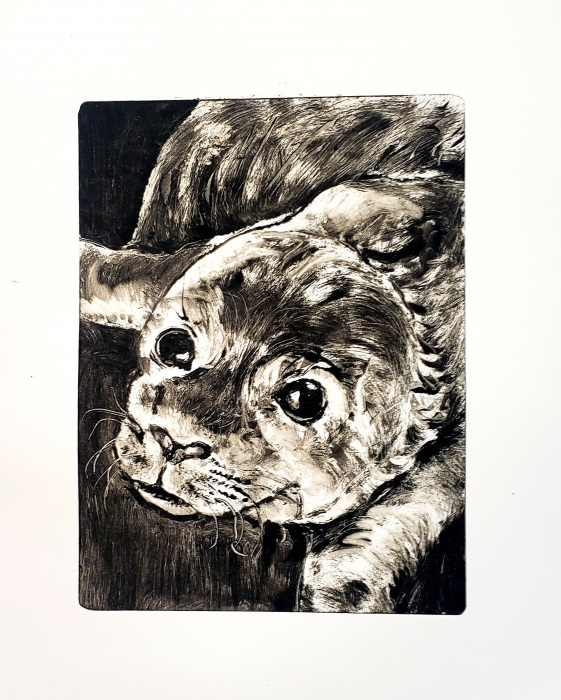 Serena Bates, "Harbor Seal Pup", monoprint, $450