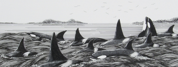 Susan Van Winkle, "Spy-hopper", scratchboard, $500