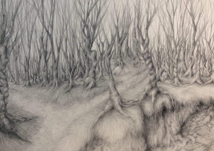 Ruthie Viele, "There's a Hole in My Bucket, Dear Liza Dear Liza", graphite, $2,100