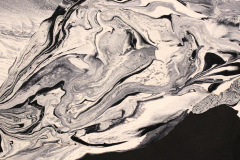 Chandler Davis, "Black and White", acrylic, $200