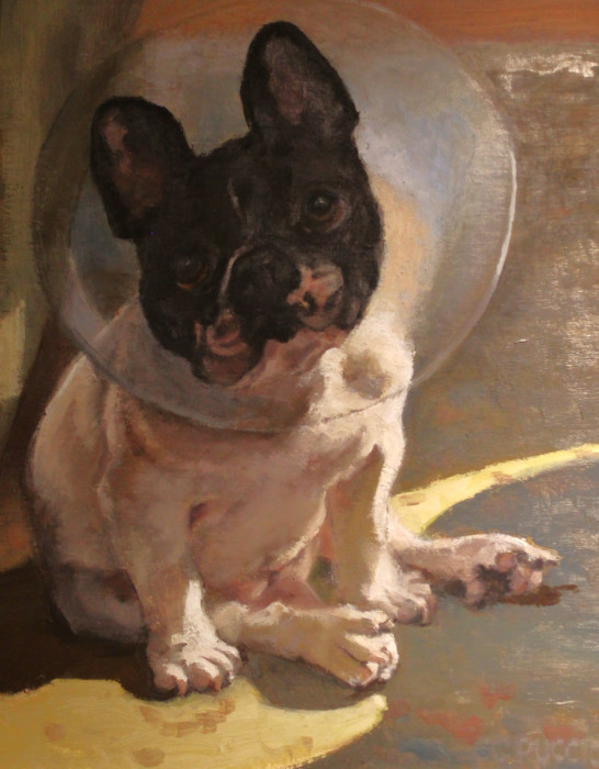Angel-Oil-900
