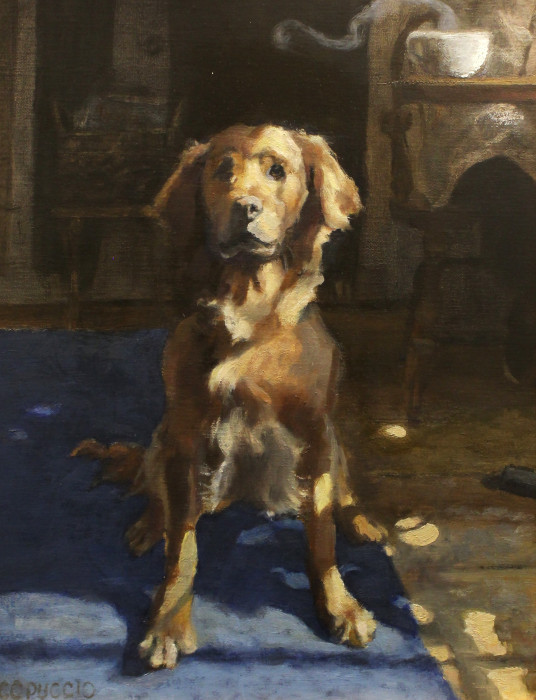 Coffeehouse-Dog