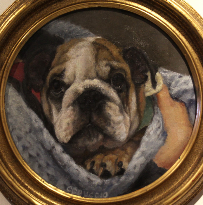 Madonna-Bulldog-Oil-800